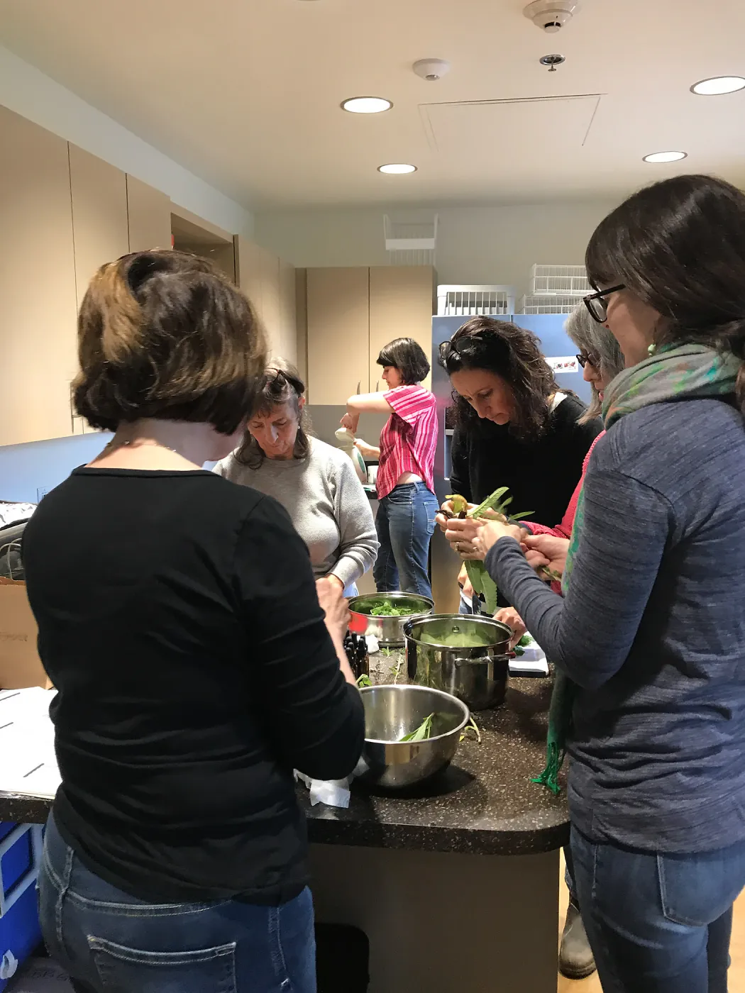 Emily Sanders Winter Wellness Medicine Making Workshop