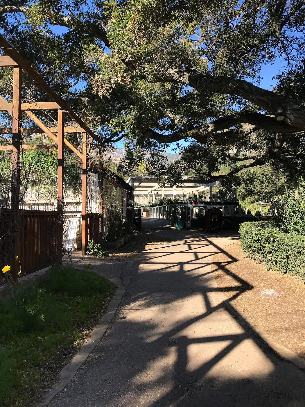 Shadow patterns at the Arbor Terrace