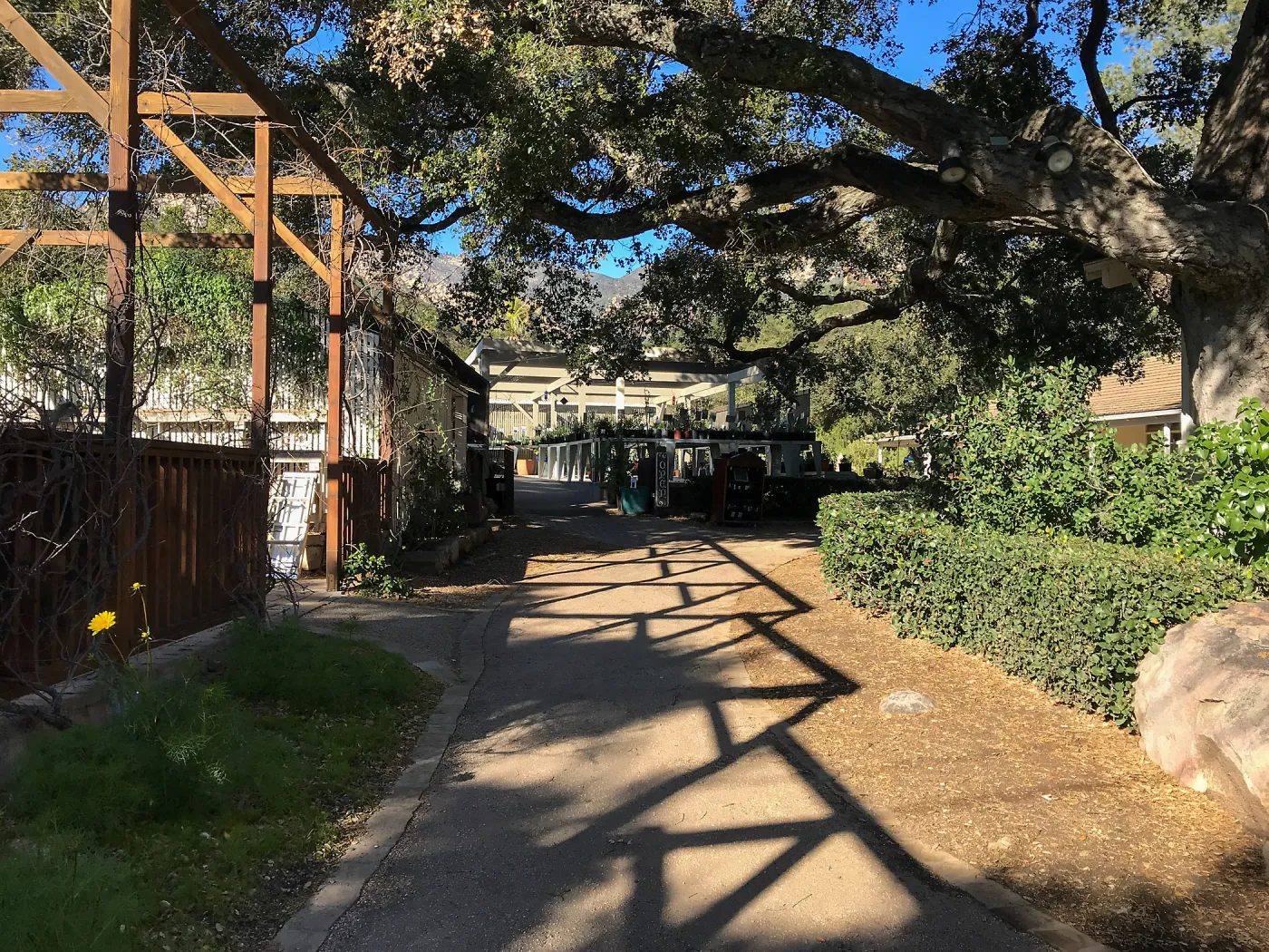 Shadow patterns at the Arbor Terrace