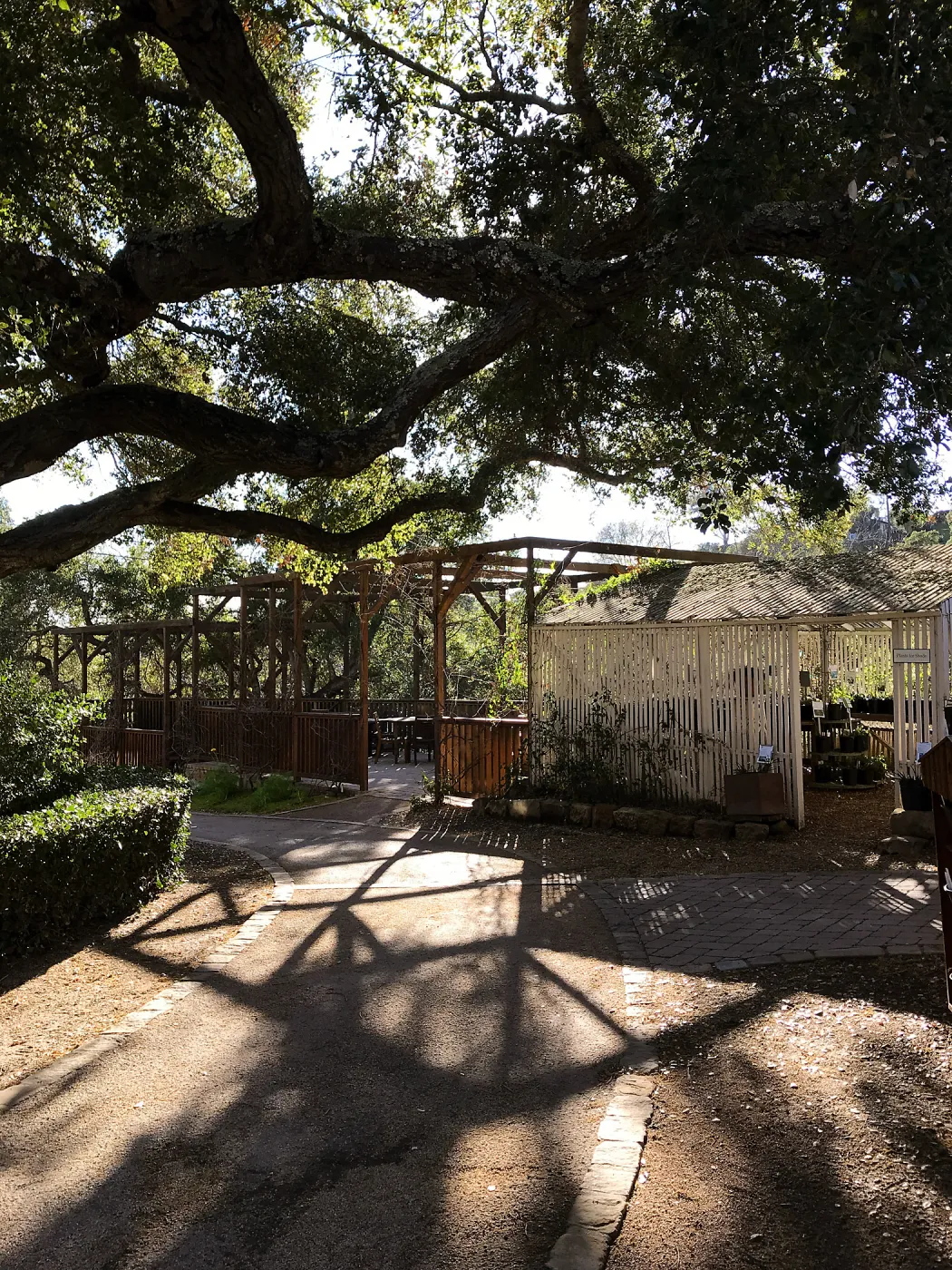 Shadow patterns at the Arbor Terrace