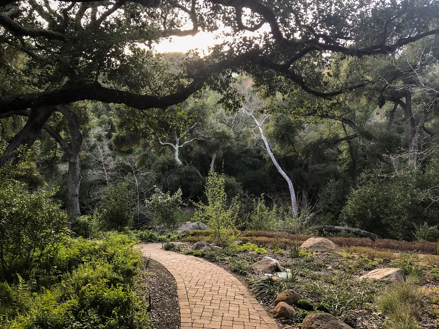 Campbell Trail meanders through the Wooded Dell
