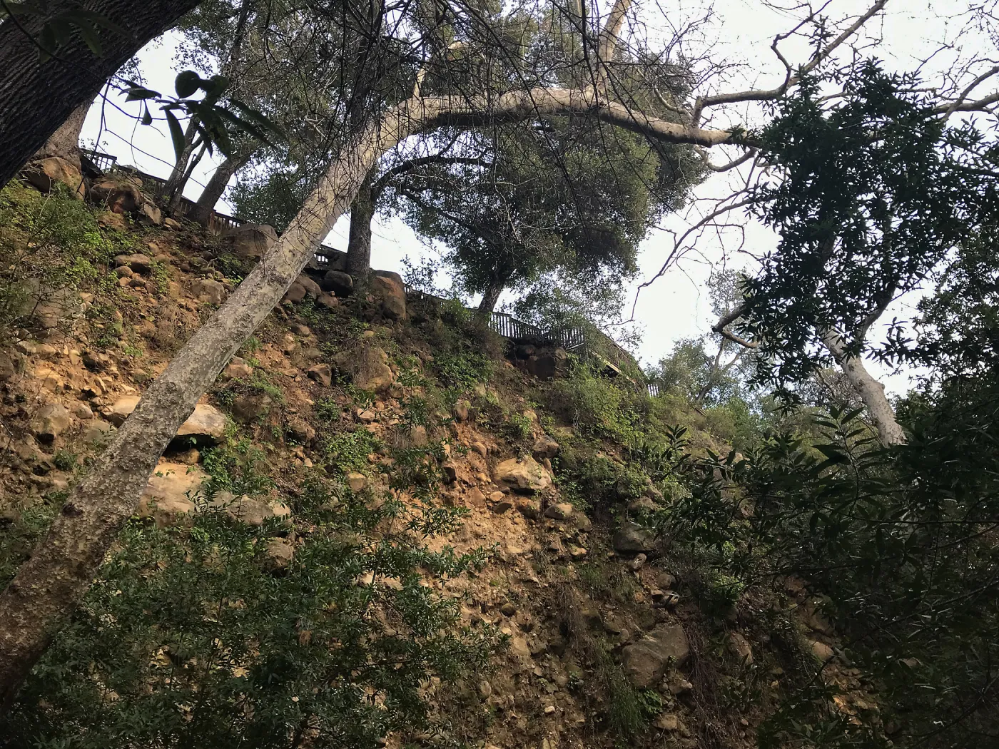 Canyon wall below the Cottage