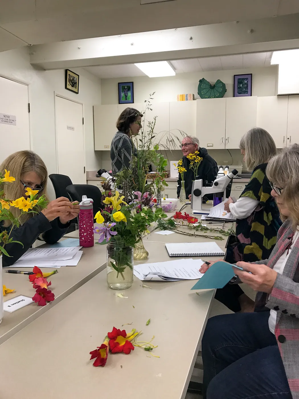 Botany Basics: Reproductive Structures class taught by Natalie Love