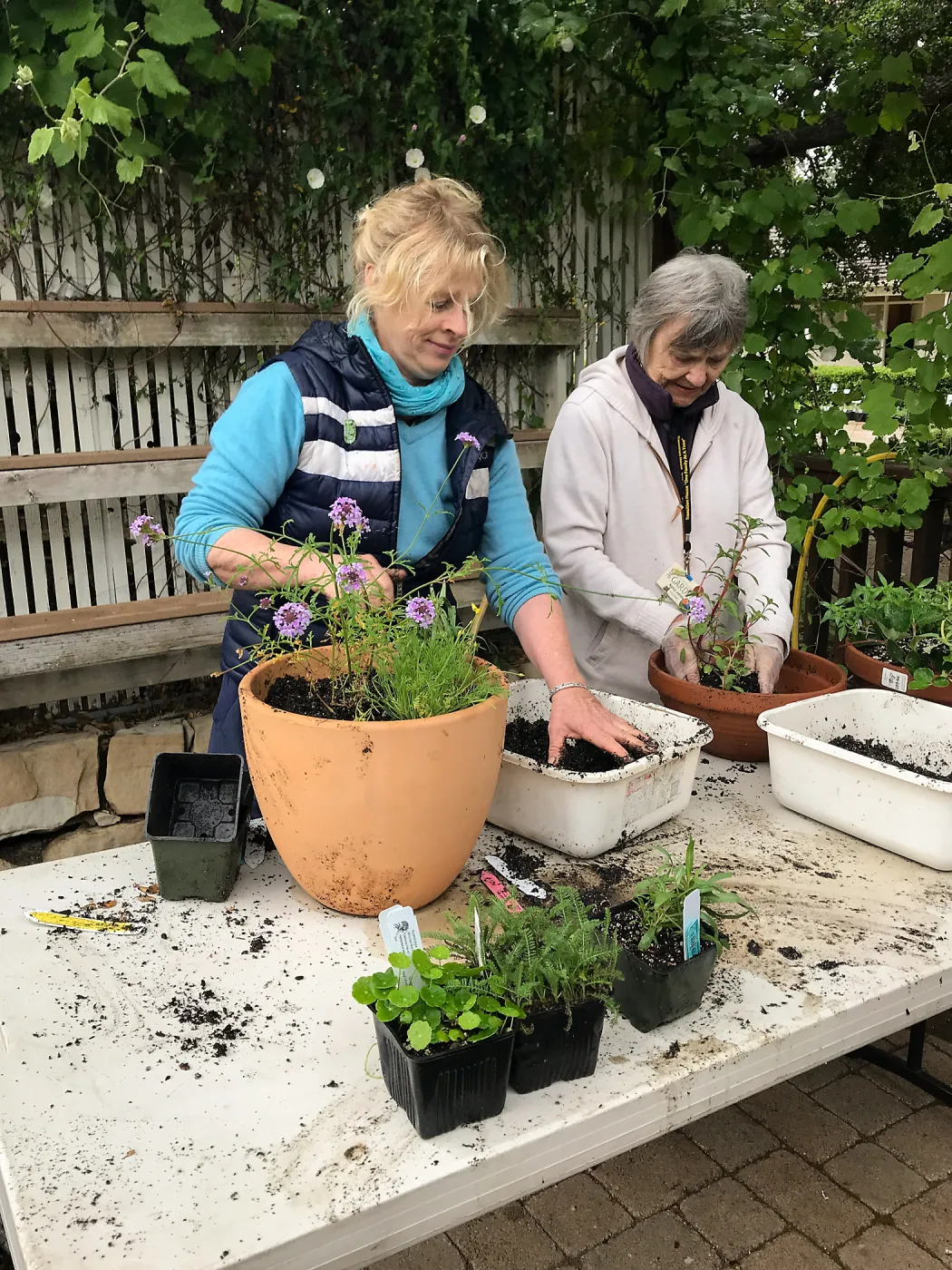 Create Your Own Container Garden taught by Patrick Wiley
