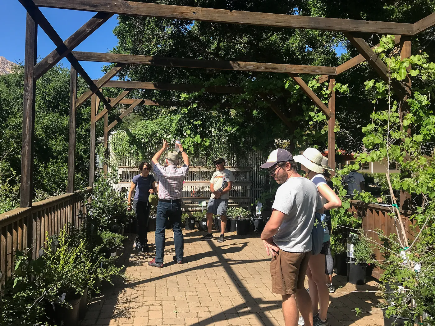 Designing with Water Wise Natives class taught by Billy Goodnick