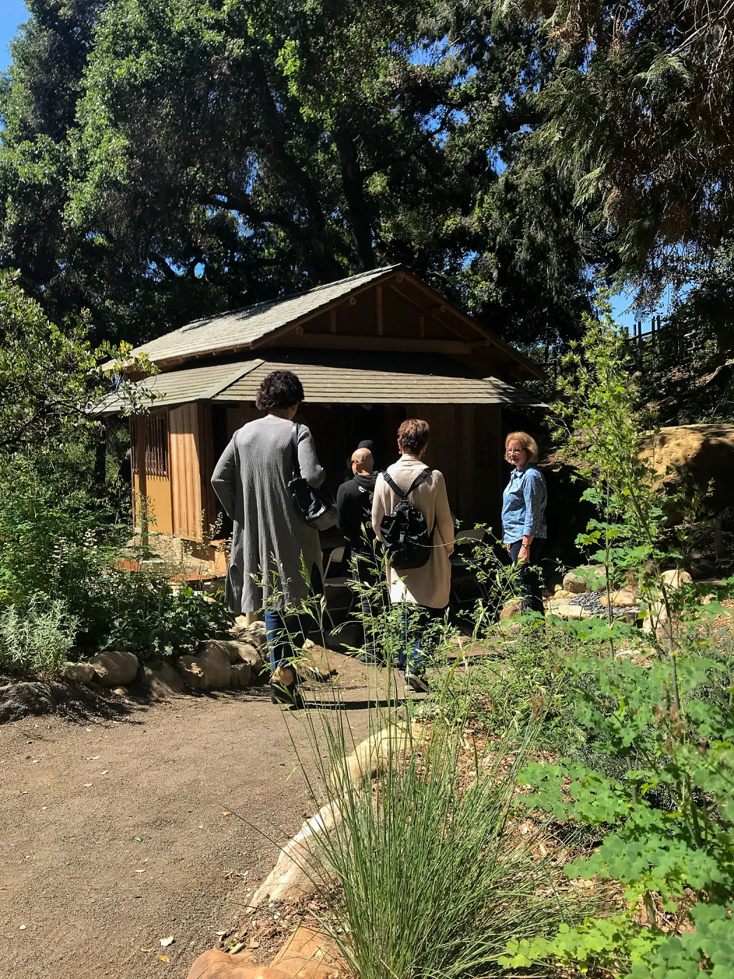 Enjoy Matcha: The Urasenke Way of Tea class taught by Sensei Kyoko Kasai