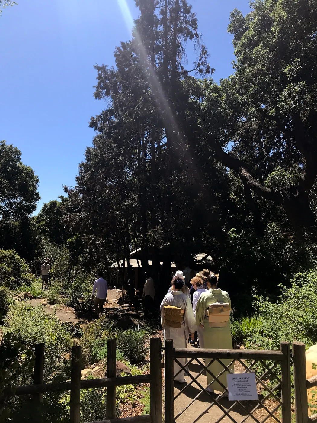 Enjoy Matcha: The Urasenke Way of Tea class taught by Sensei Kyoko Kasai