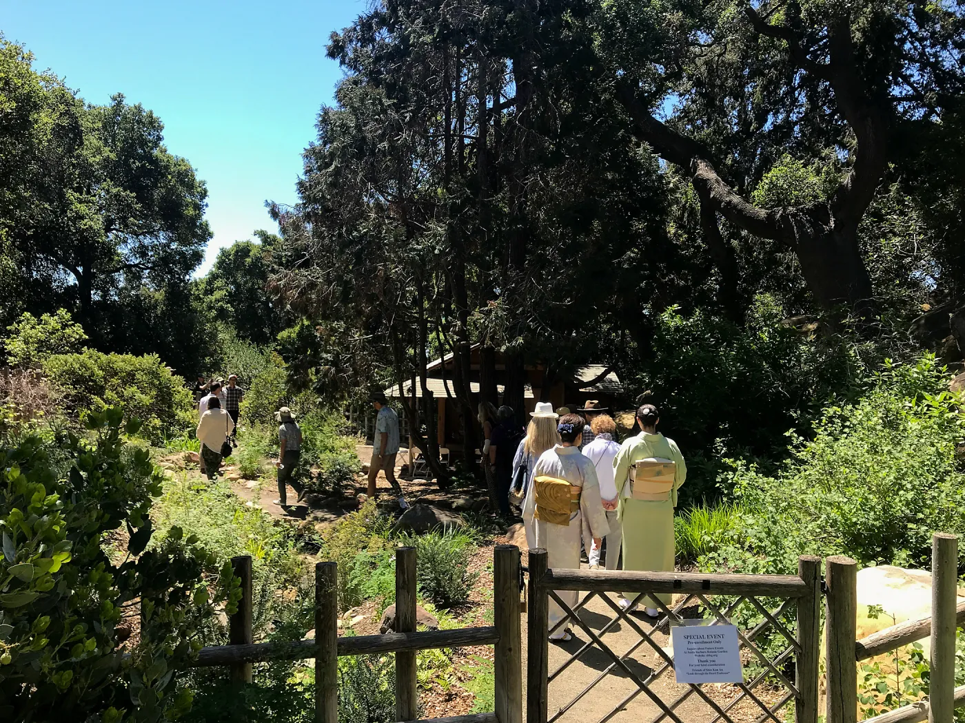 Enjoy Matcha: The Urasenke Way of Tea class taught by Sensei Kyoko Kasai