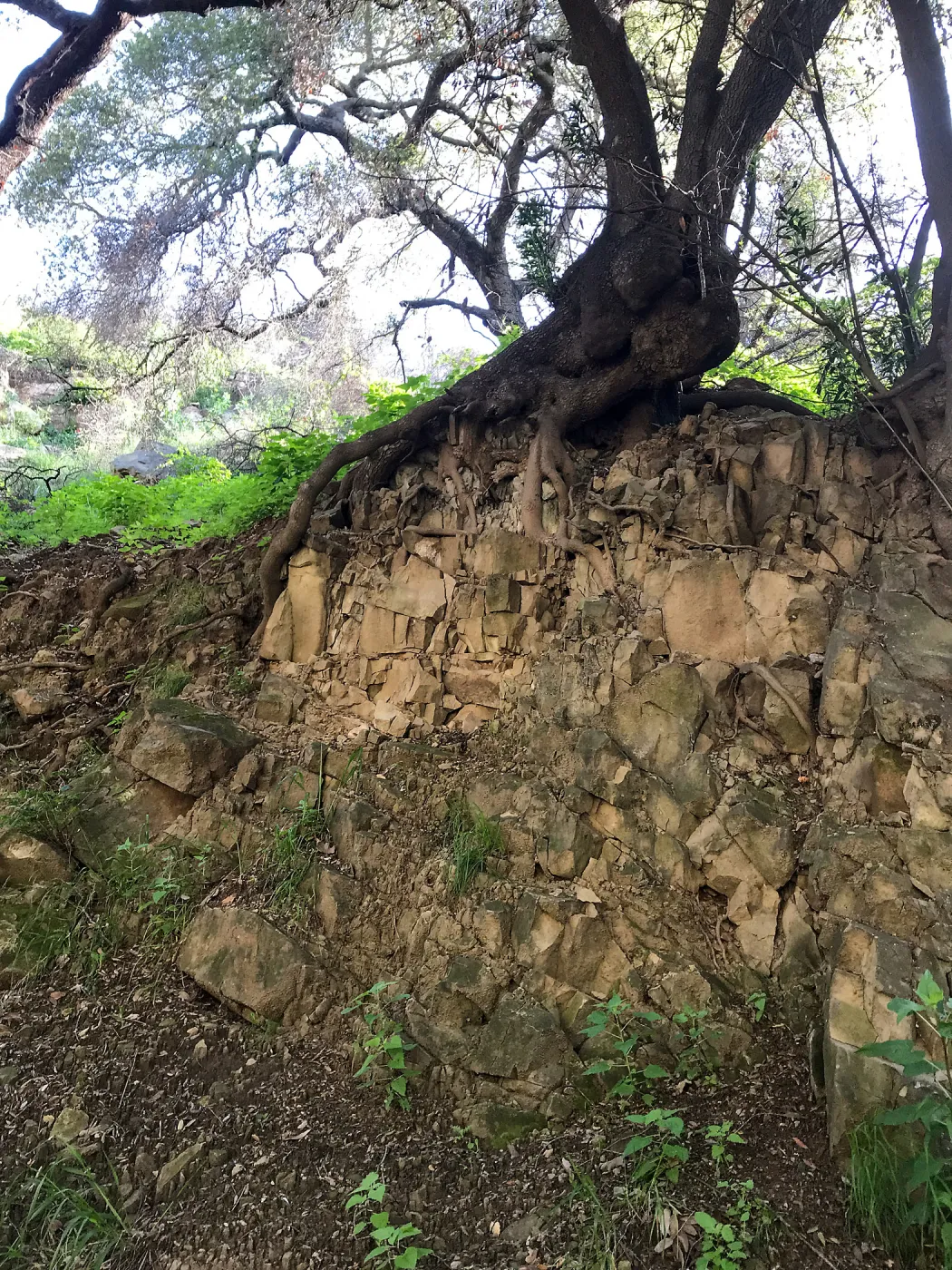 Romero Canyon day trip with Natalie Love