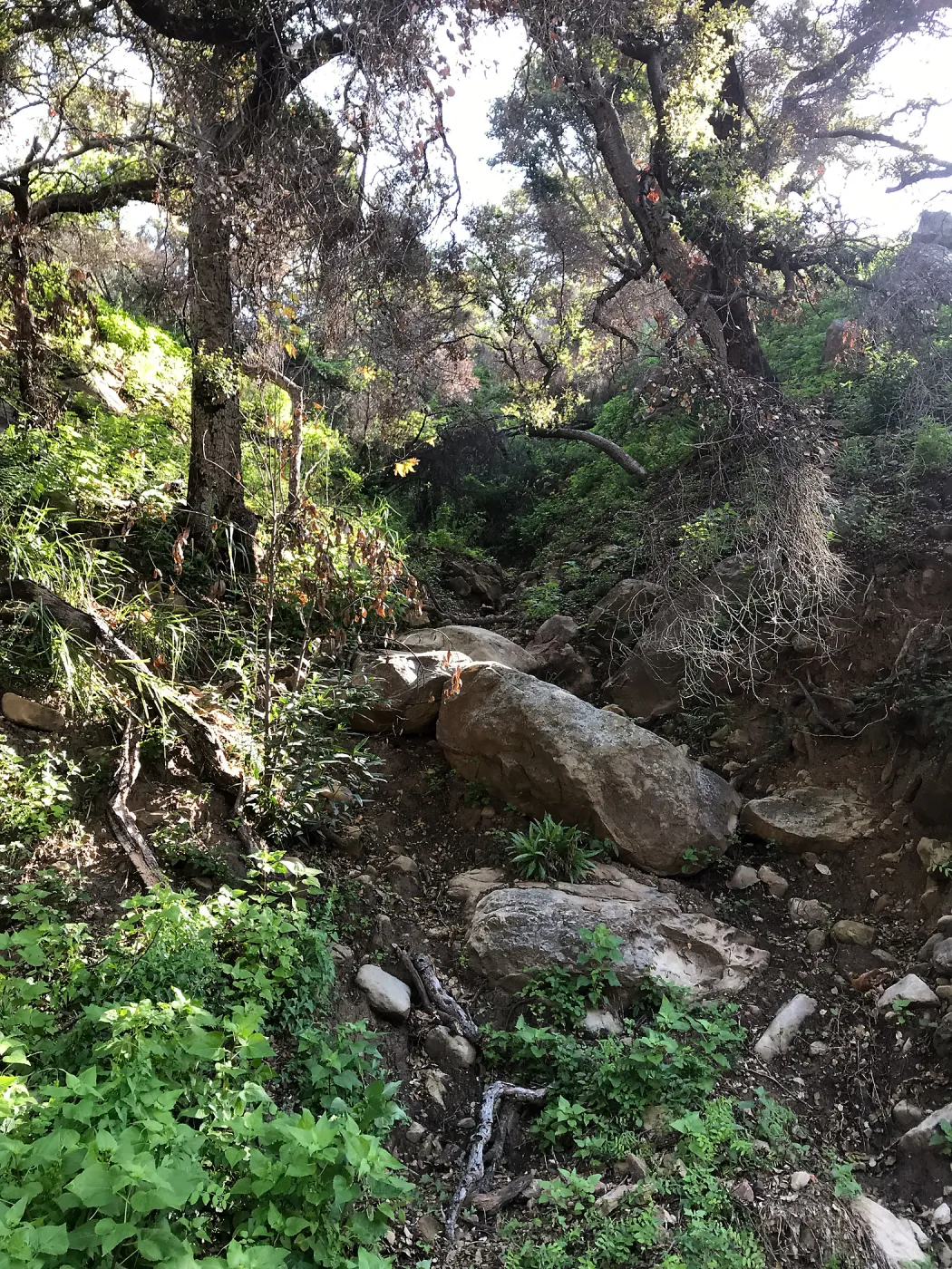 Romero Canyon day trip with Natalie Love