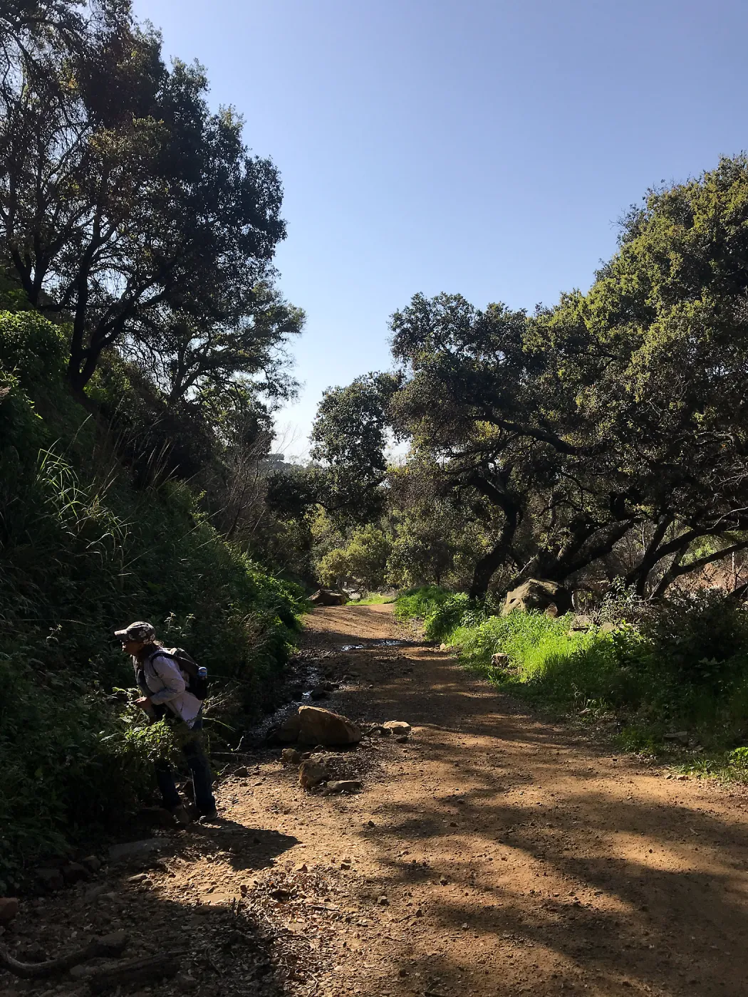 Romero Canyon day trip with Natalie Love