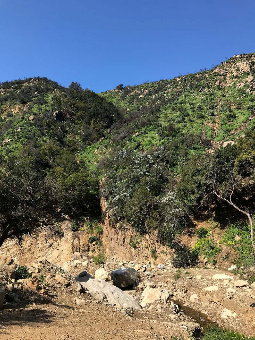 Romero Canyon day trip with Natalie Love