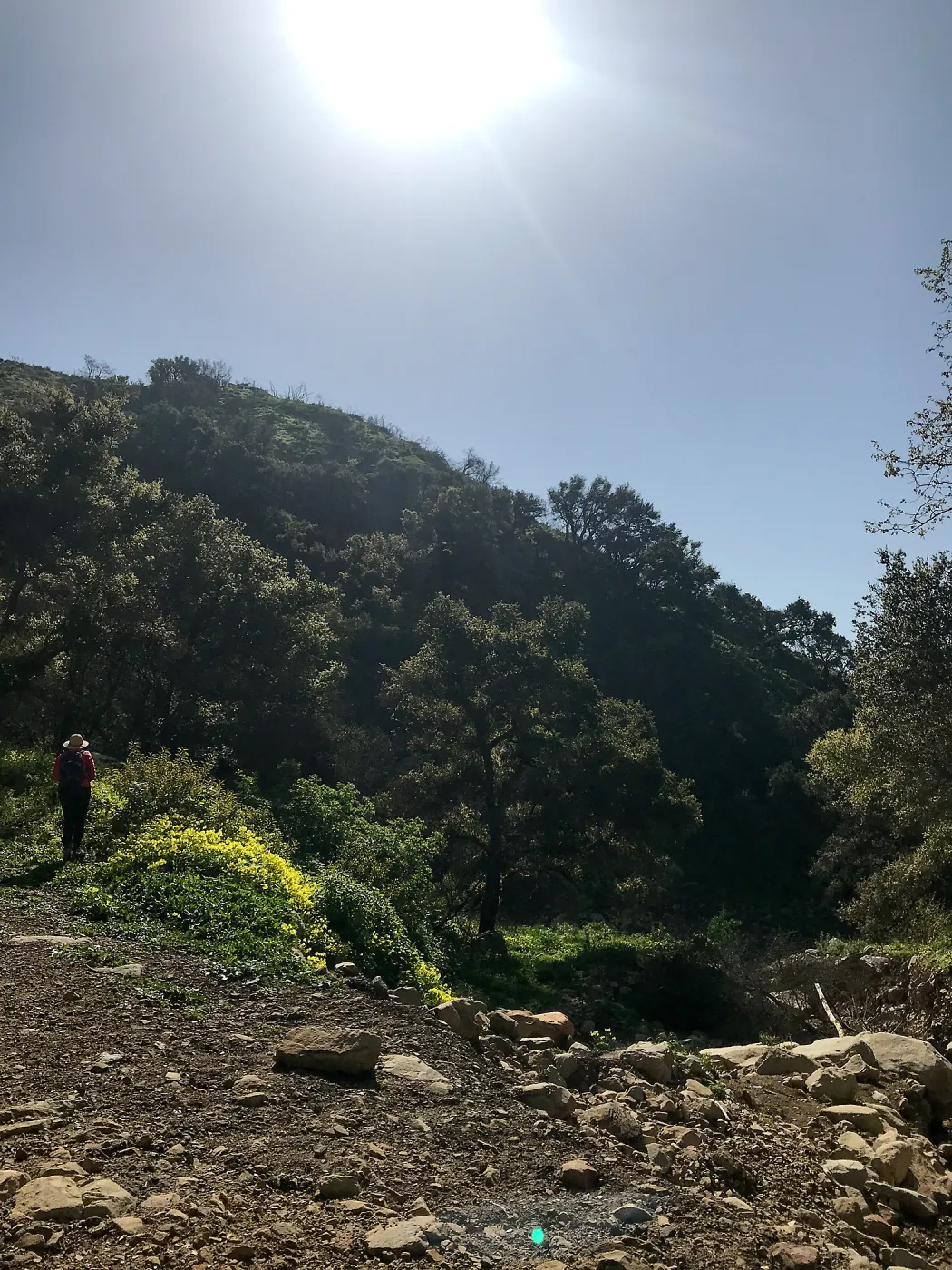 Romero Canyon day trip with Natalie Love