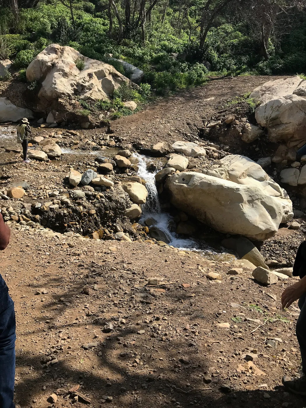 Romero Canyon day trip with Natalie Love