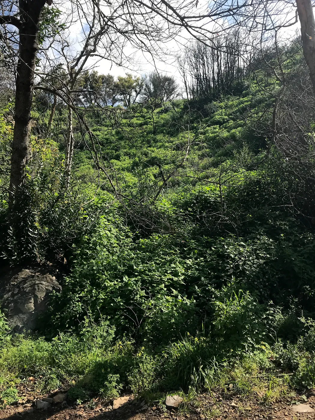 Romero Canyon day trip with Natalie Love