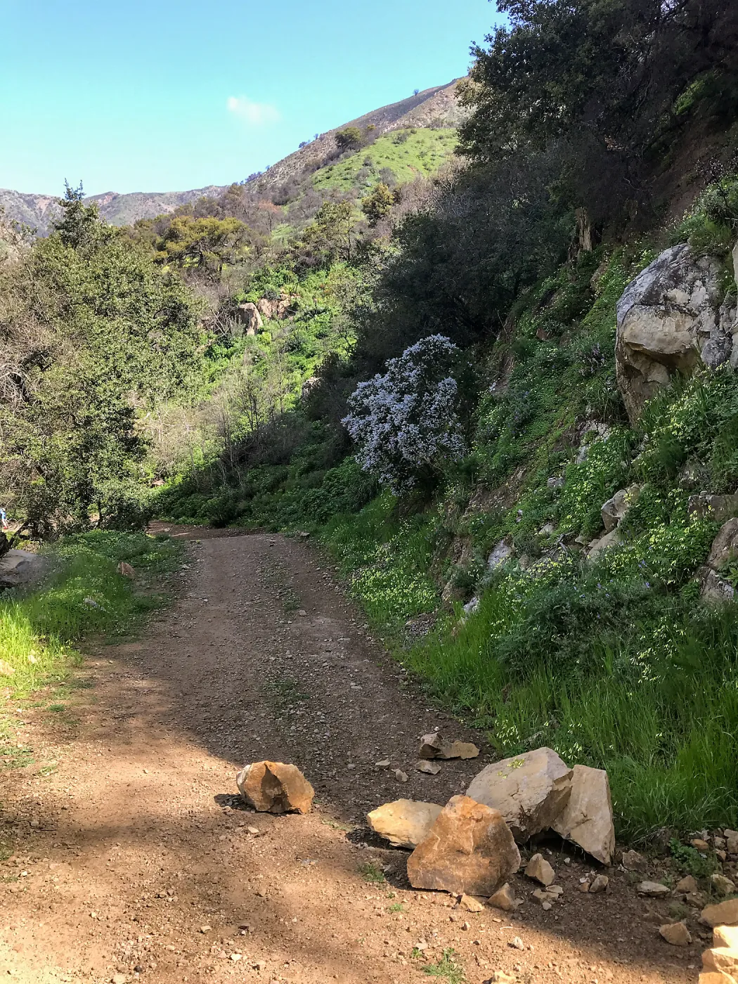 Romero Canyon day trip with Natalie Love