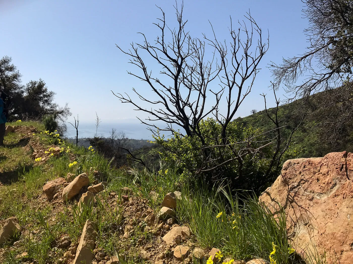 Romero Canyon day trip with Natalie Love