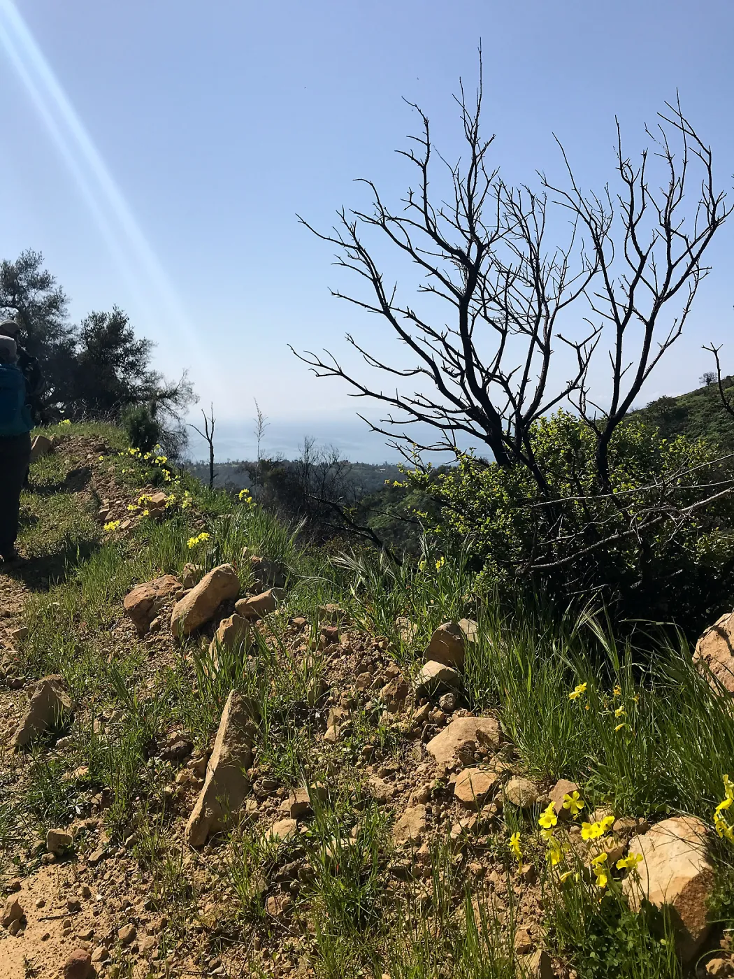 Romero Canyon day trip with Natalie Love