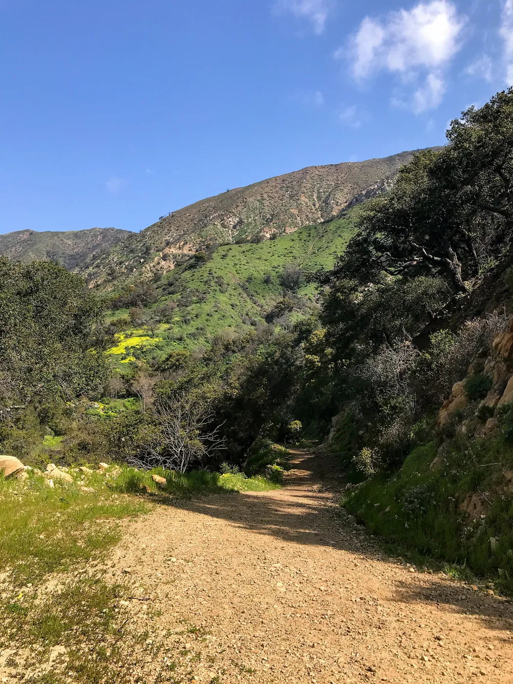 Romero Canyon day trip with Natalie Love