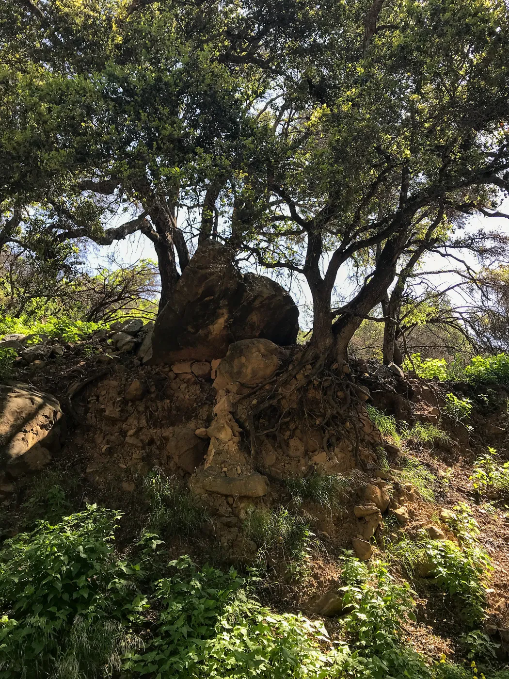 Romero Canyon day trip with Natalie Love