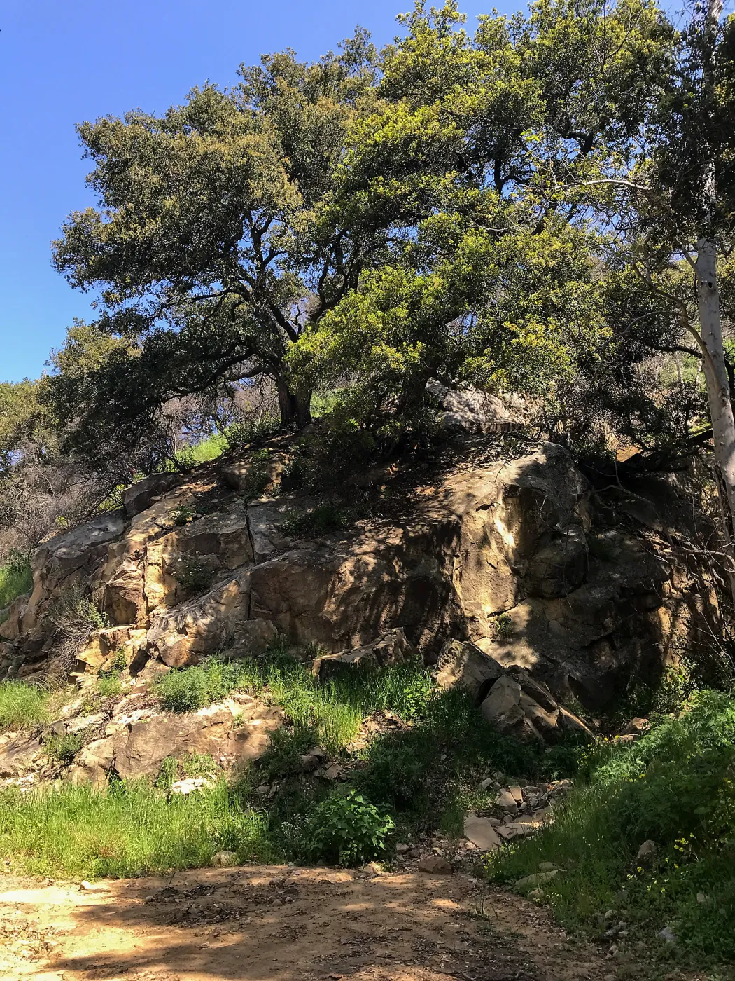 Romero Canyon day trip with Natalie Love