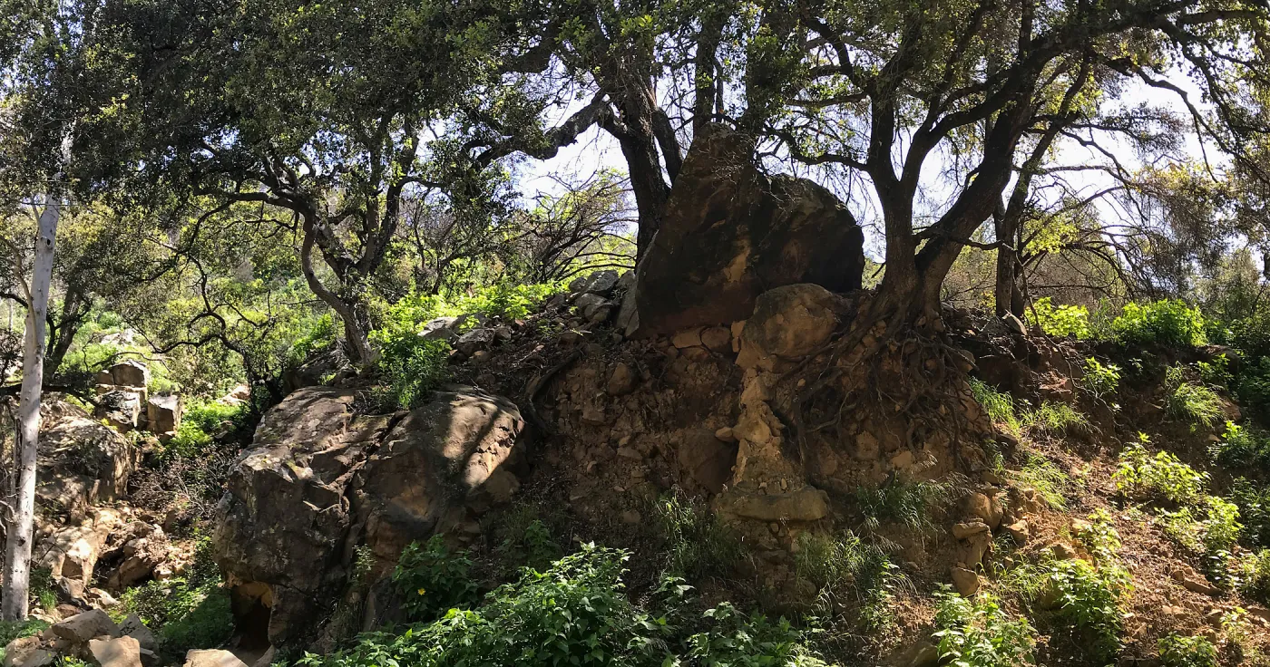 Romero Canyon day trip with Natalie Love