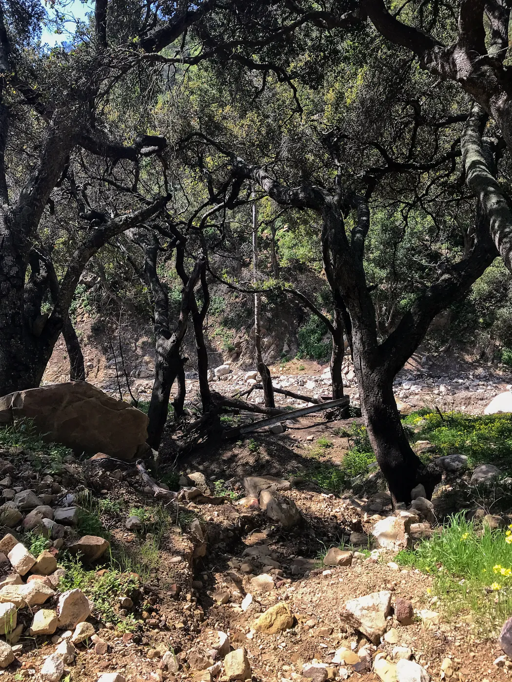 Romero Canyon day trip with Natalie Love, part of a bridge that was taken down in the debris flow