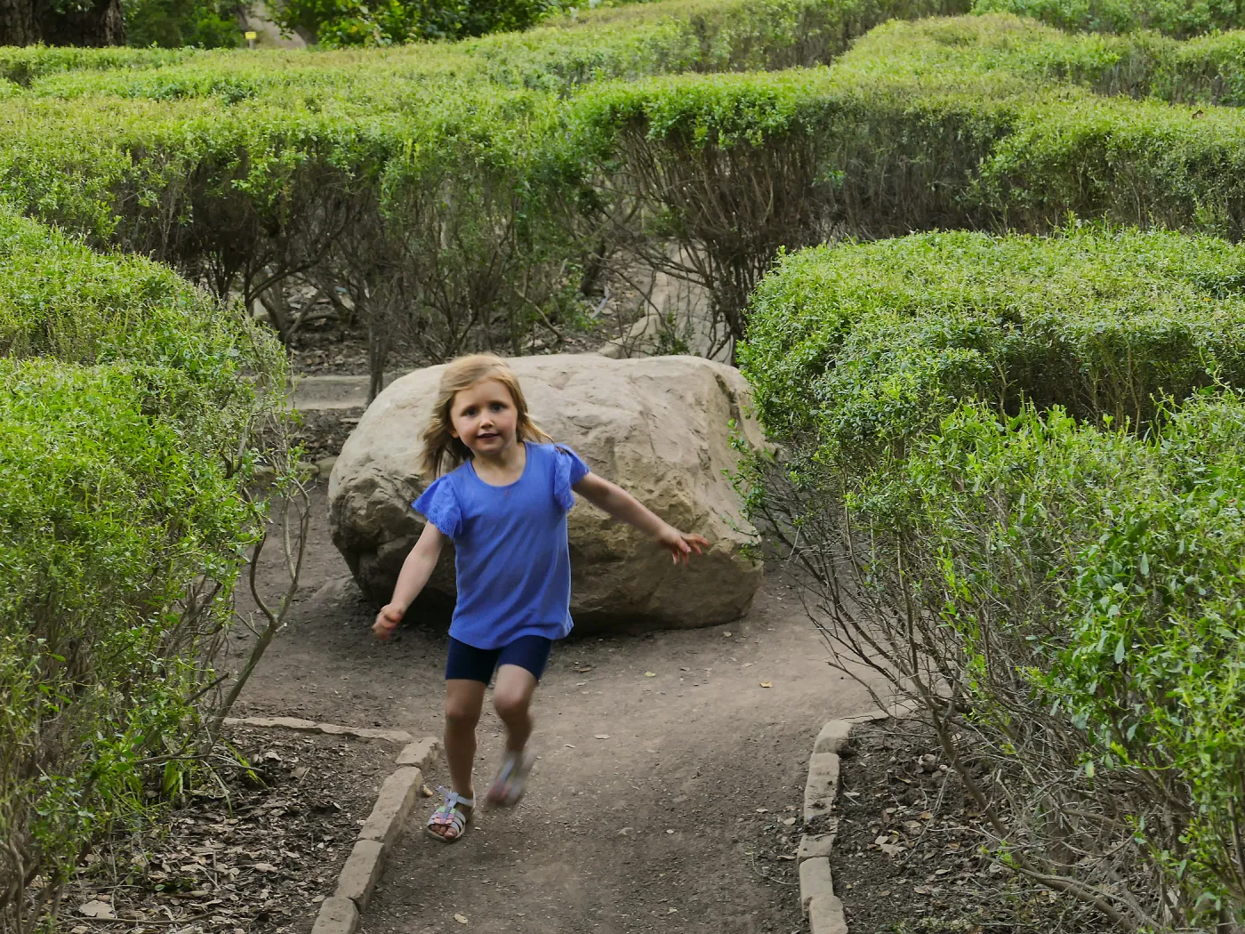 Child running through the Centennial Maze