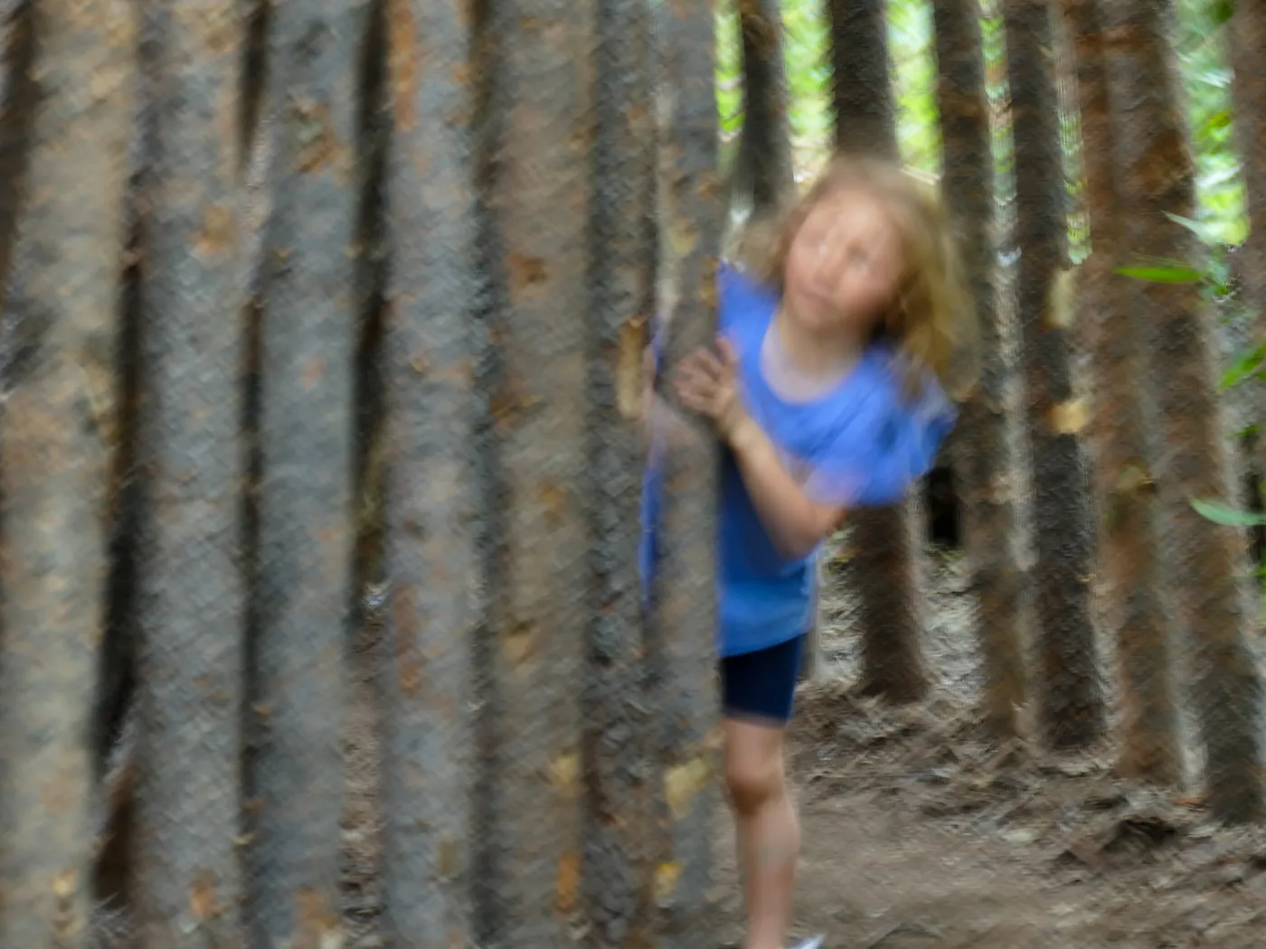 Santa Barbara Botanic Garden Casitas Opening, child playing in the â€œUnderstoryâ€ Casita