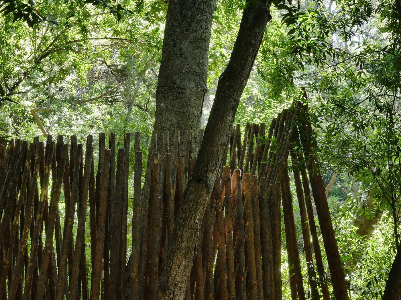 The Understory casita
