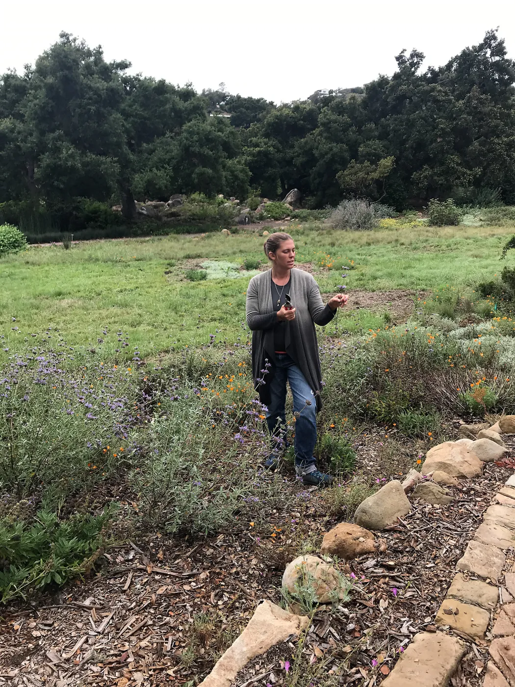 Bring the Wild Inside; Floral Design With California Native Plants, instructor Heather Wehnau-Federlein