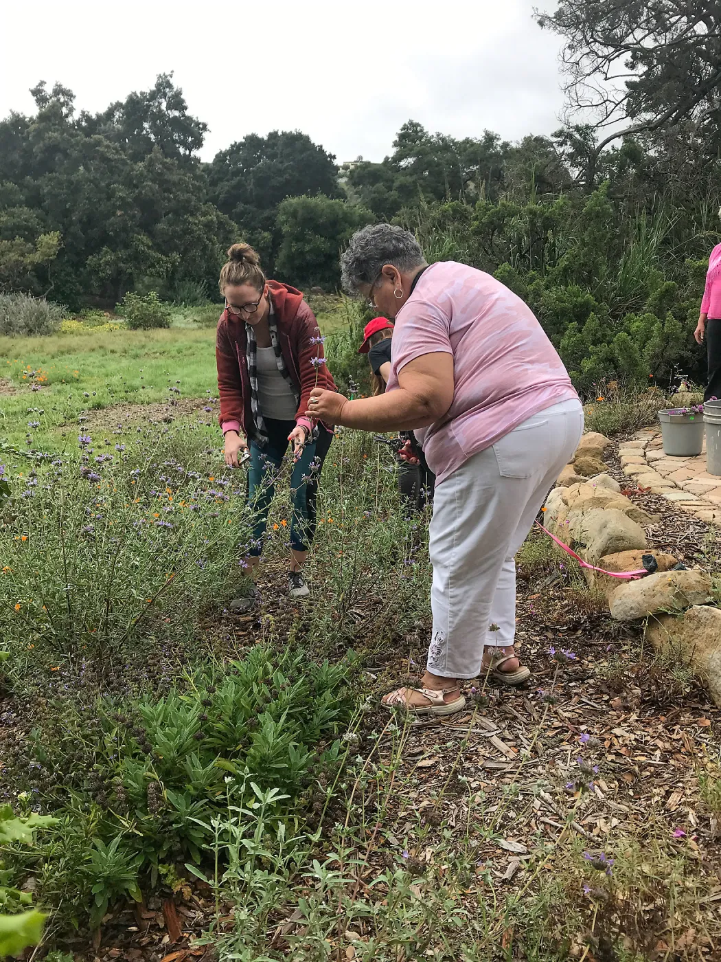 Bring the Wild Inside; Floral Design With California Native Plants