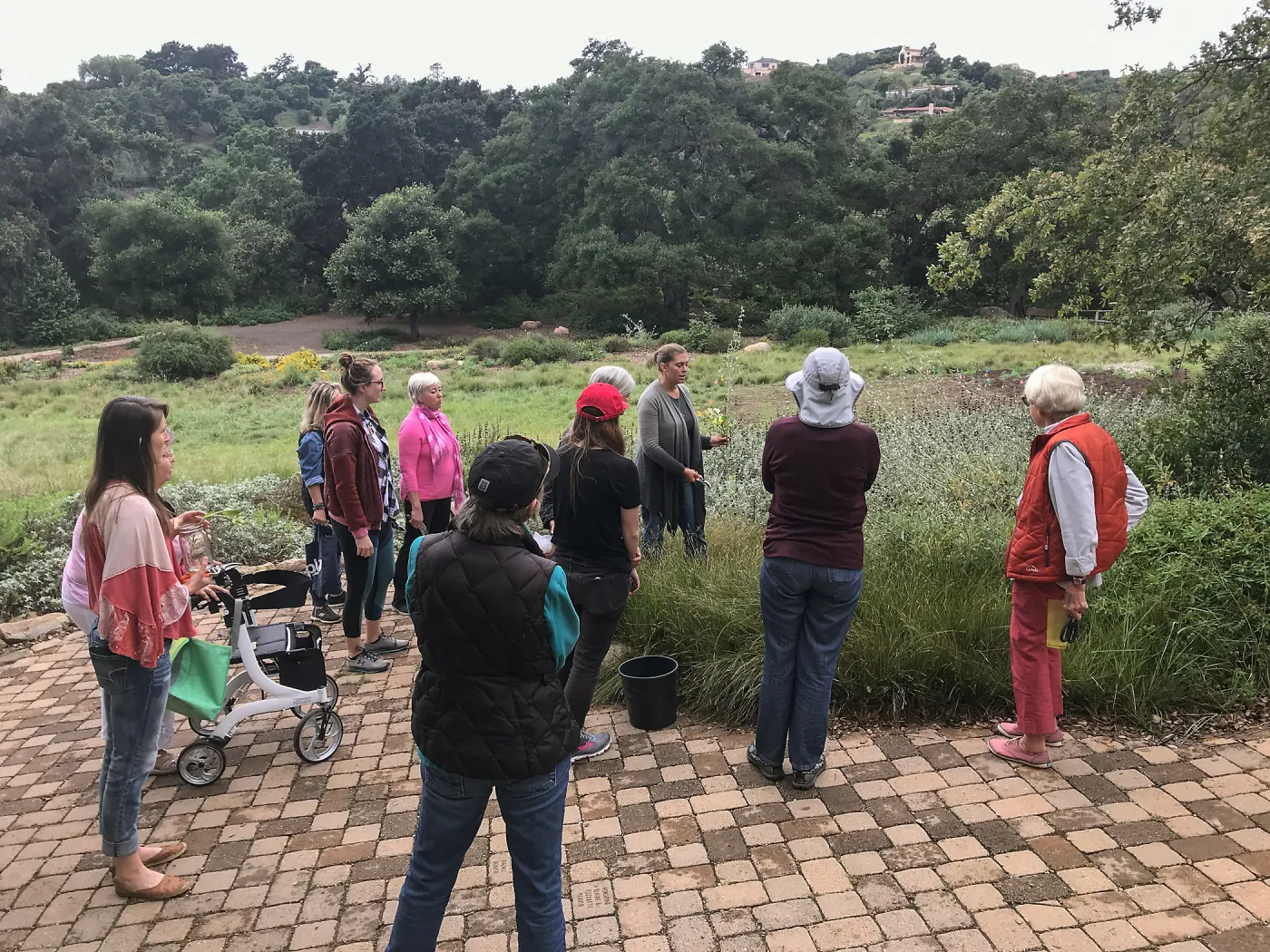 Bring the Wild Inside; Floral Design With California Native Plants