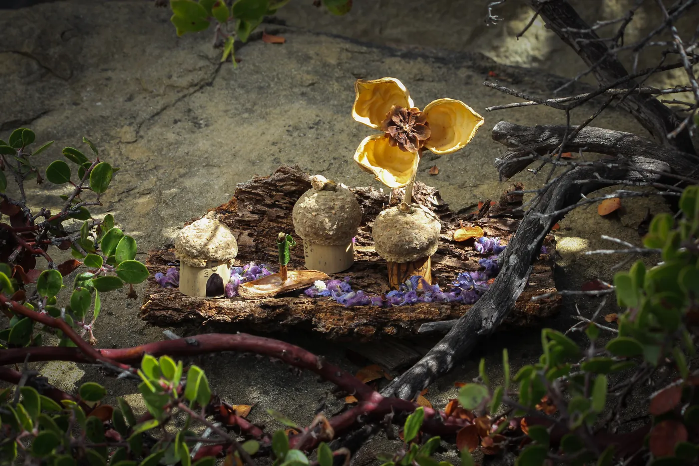 Fairy Homes and Nature Crafts class samples