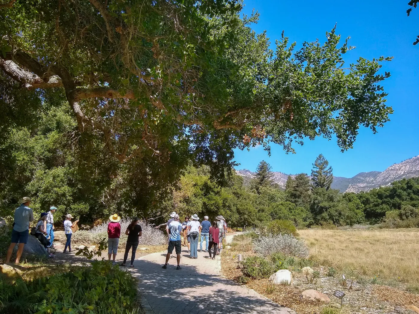 Climate walk in support of the Global Climate Strike