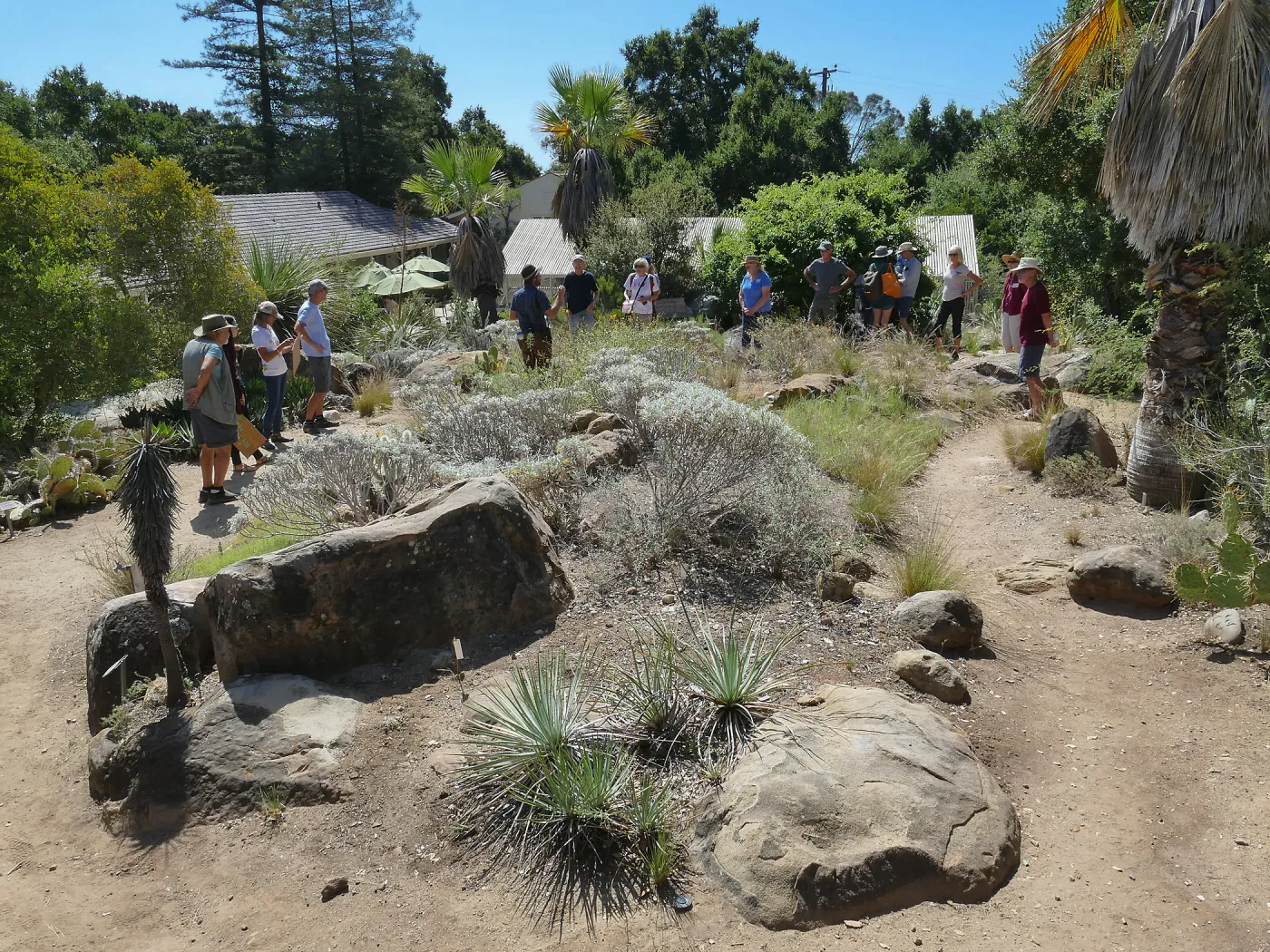 Climate walk in support of the Global Climate Strike