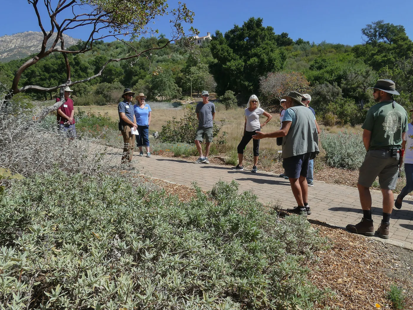 Climate walk in support of the Global Climate Strike
