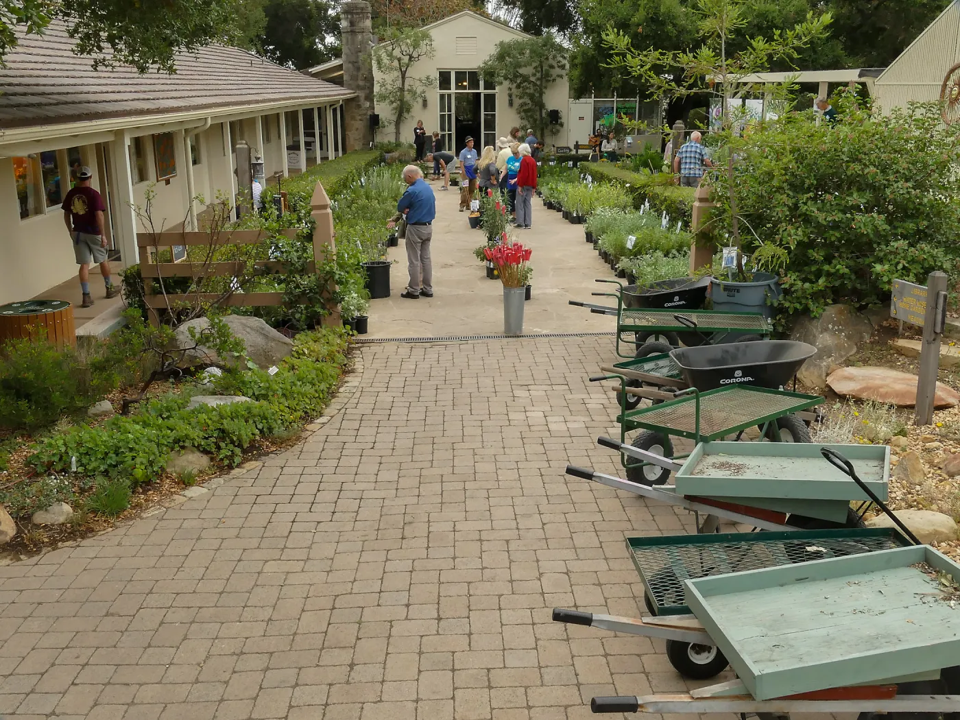 2019 Fall Plant Sale Preview Party