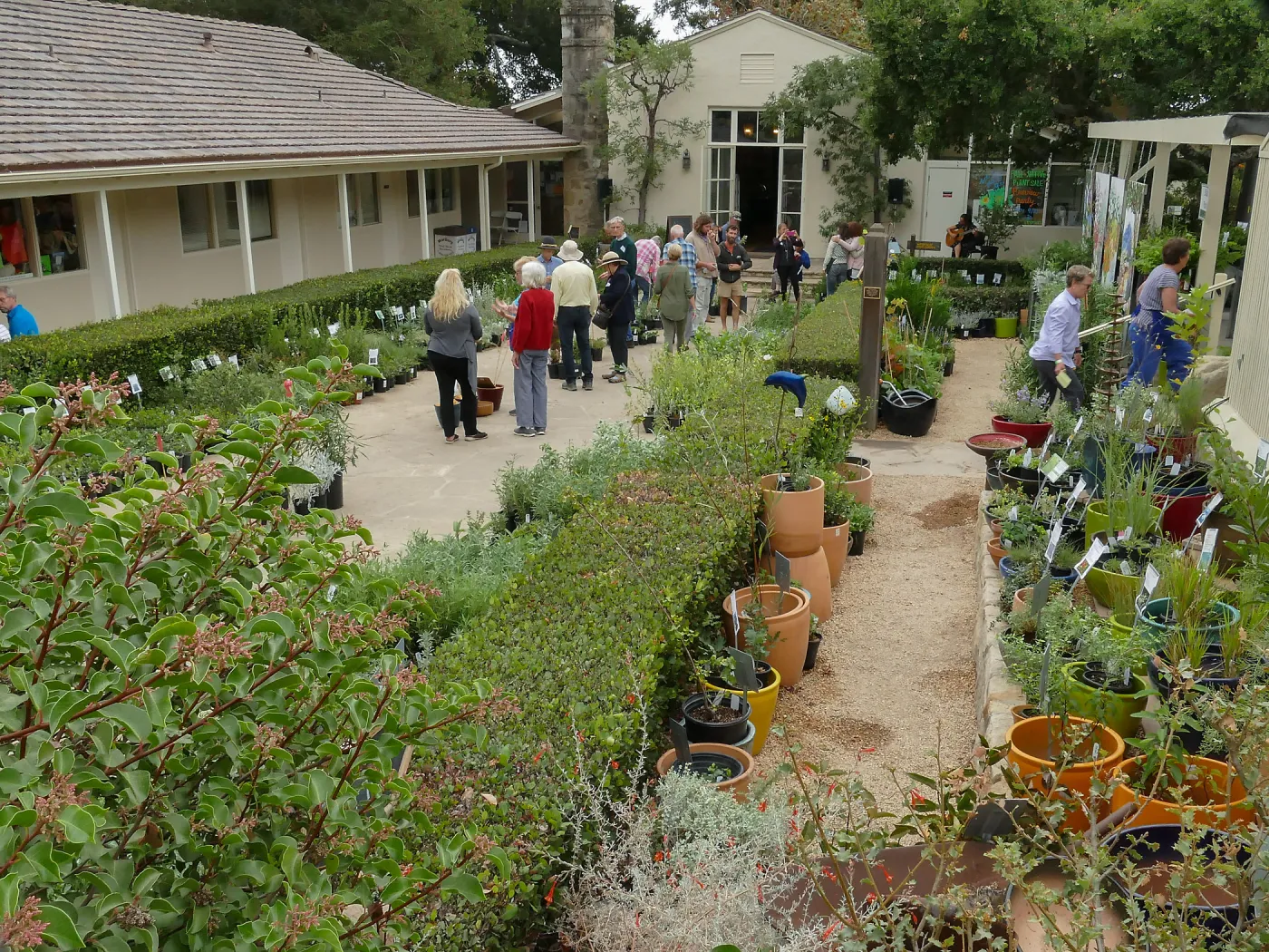 2019 Fall Plant Sale Preview Party