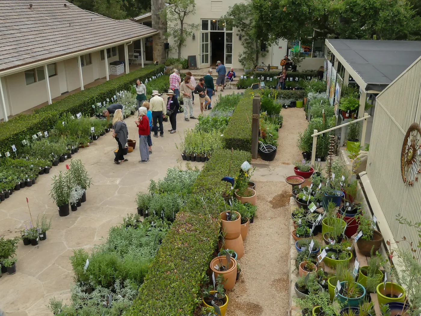 2019 Fall Plant Sale Preview Party