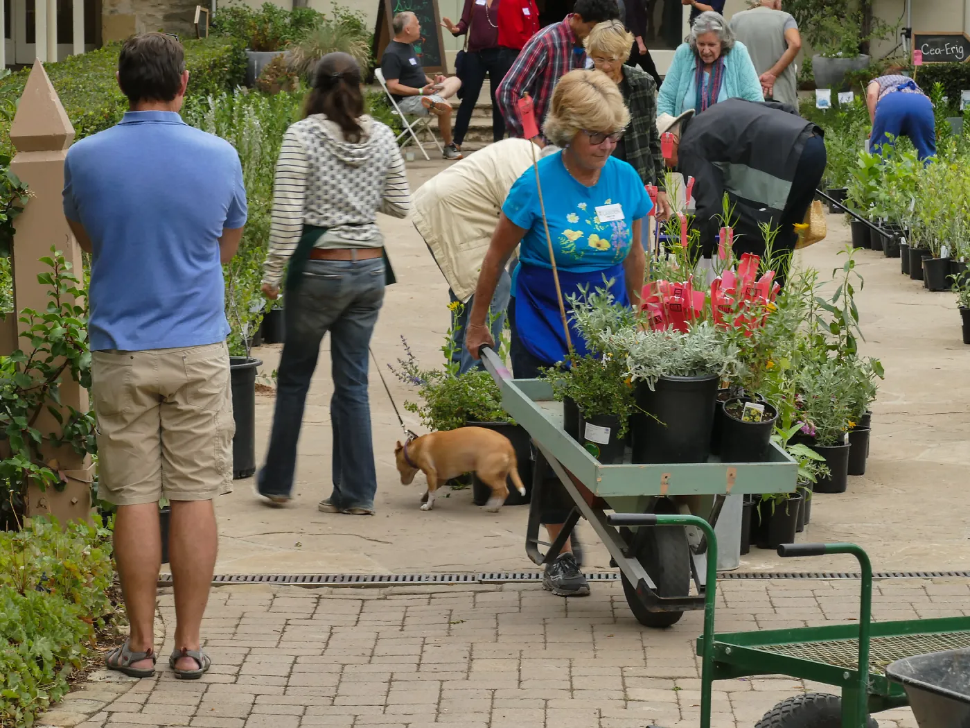 2019 Fall Plant Sale Preview Party