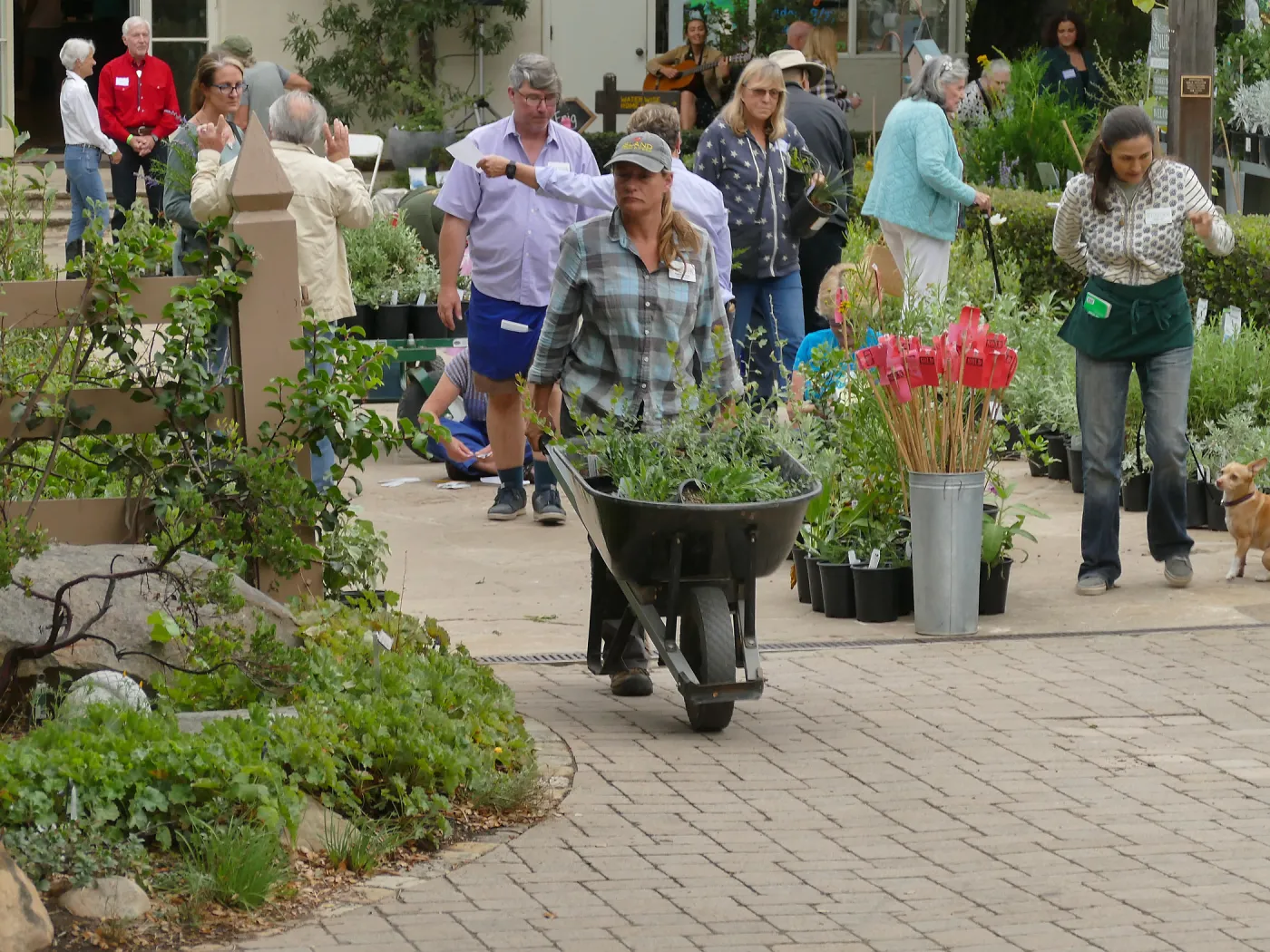 2019 Fall Plant Sale Preview Party