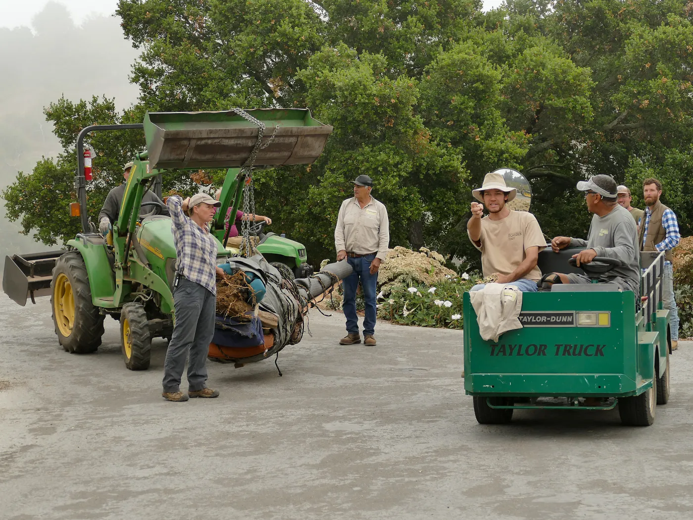 Moving a Lophocereus schottii cactus collected in 1996 from the canyard to the Island View Garden
