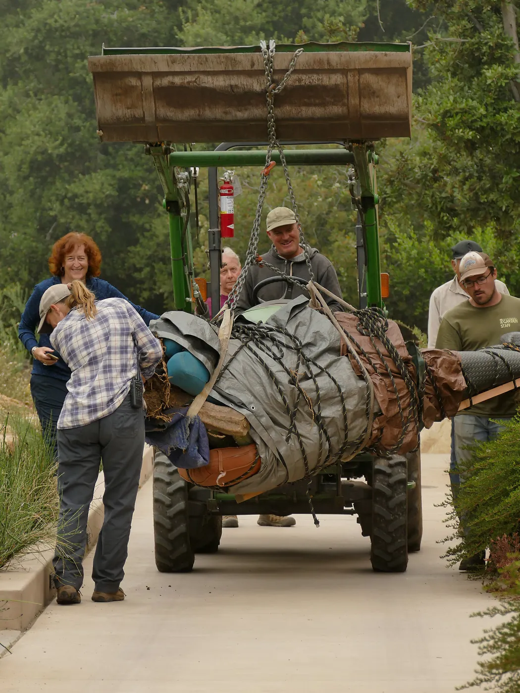 Moving a Lophocereus schottii cactus collected in 1996 from the canyard to the Island View Garden