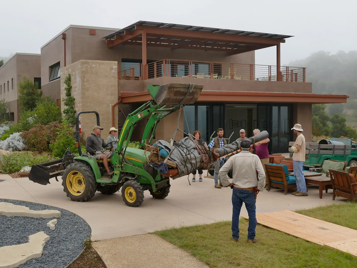 Moving a Lophocereus schottii cactus collected in 1996 from the canyard to the Island View Garden
