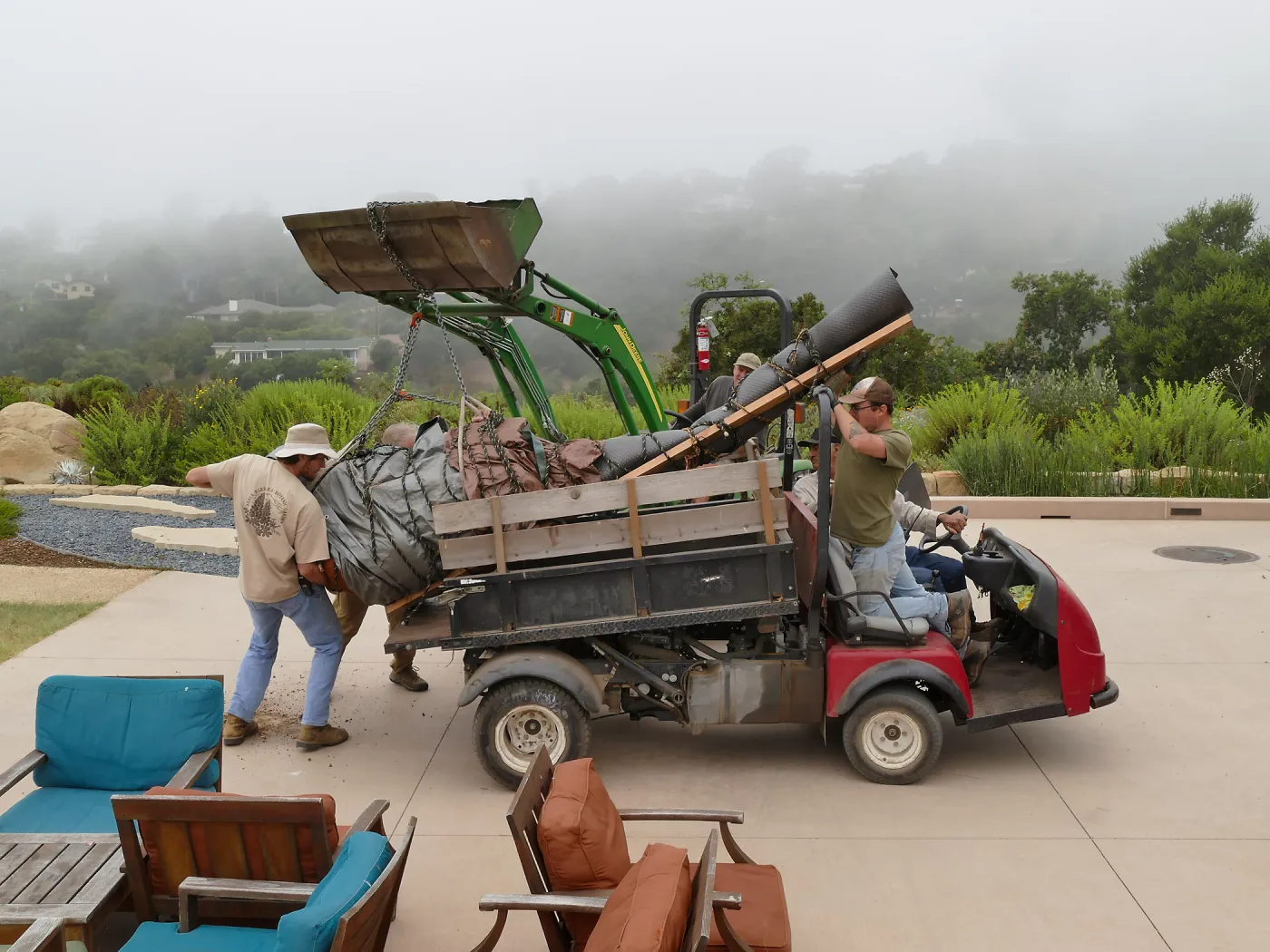Moving a Lophocereus schottii cactus collected in 1996 from the canyard to the Island View Garden