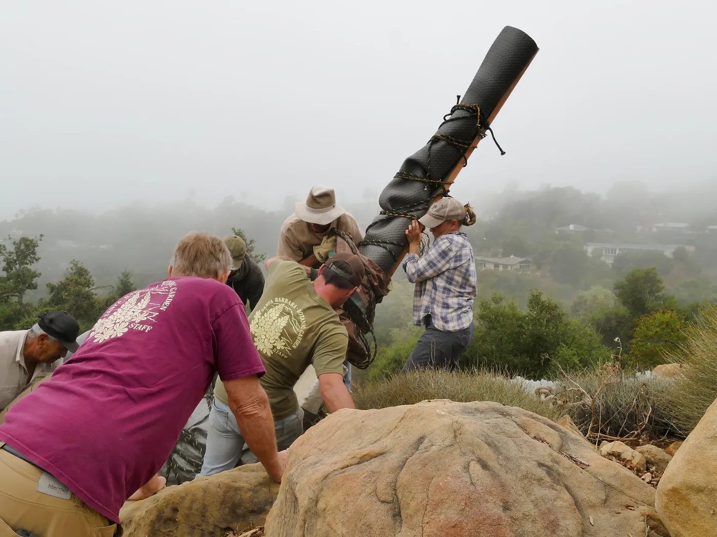 Moving a Lophocereus schottii cactus collected in 1996 from the canyard to the Island View Garden