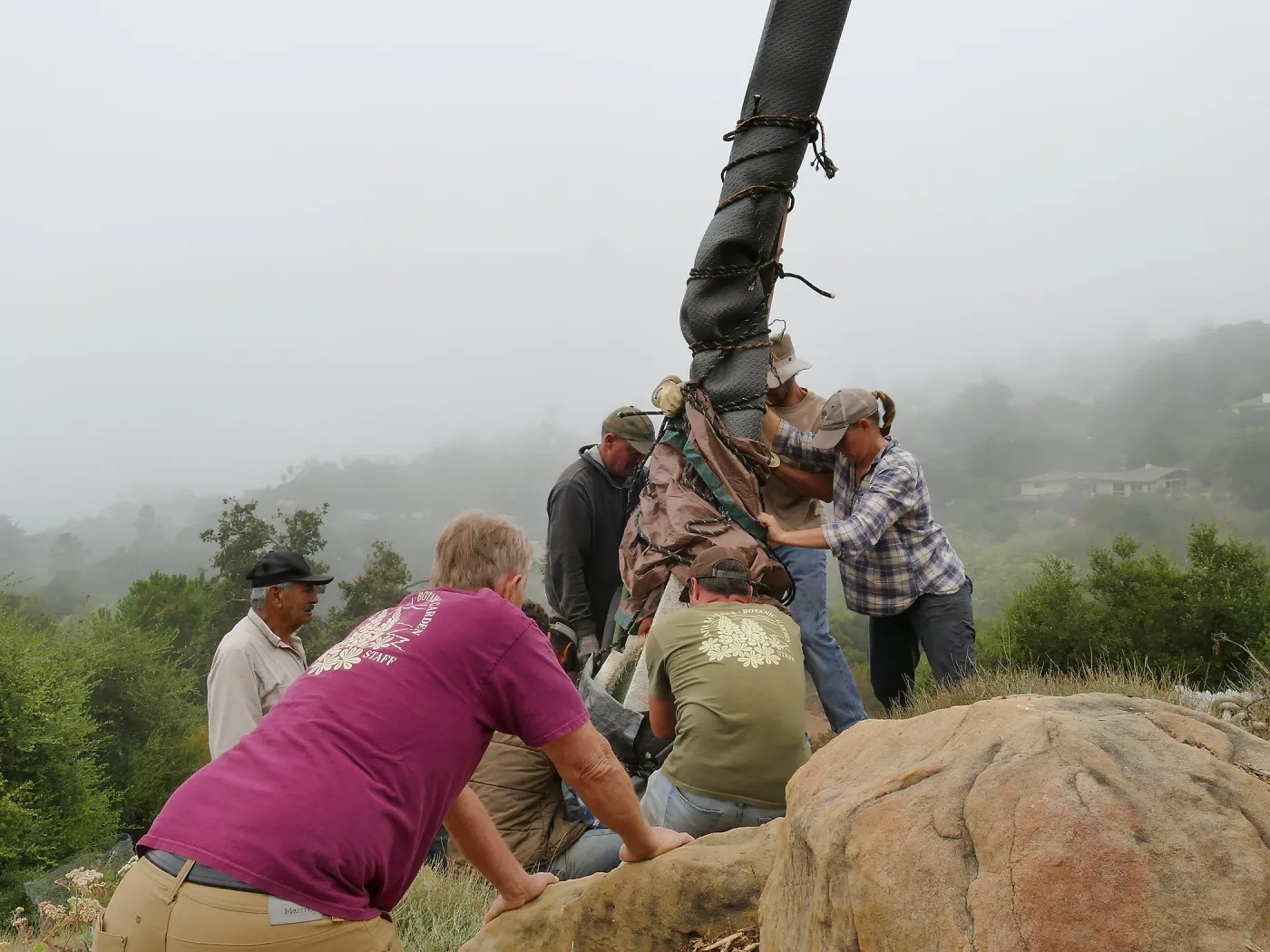 Moving a Lophocereus schottii cactus collected in 1996 from the canyard to the Island View Garden