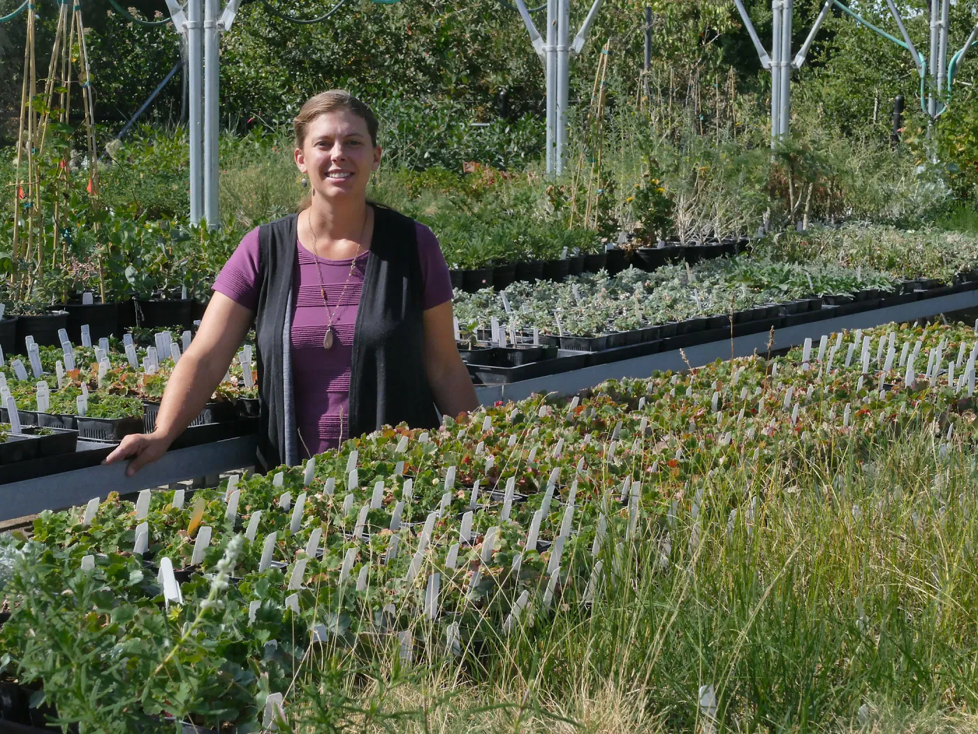 Plant Propagation Manager Heather Wehnau