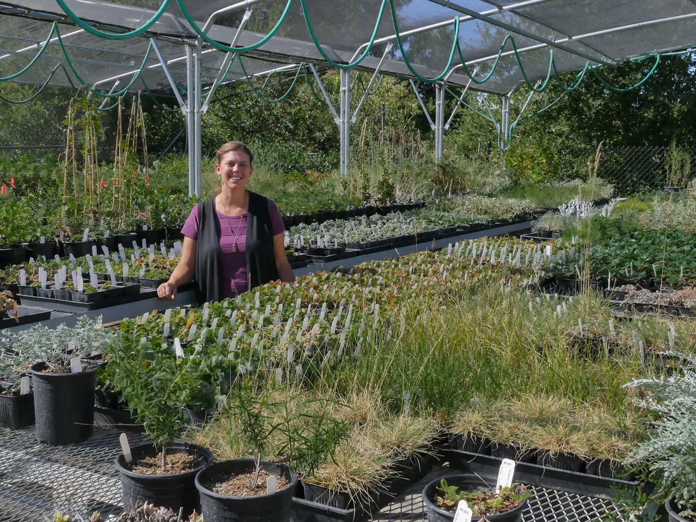 Plant Propagation Manager Heather Wehnau